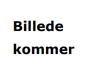 Bjarne Bonde